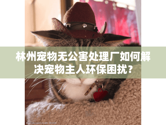 林州宠物无公害处理厂如何解决宠物主人环保困扰？