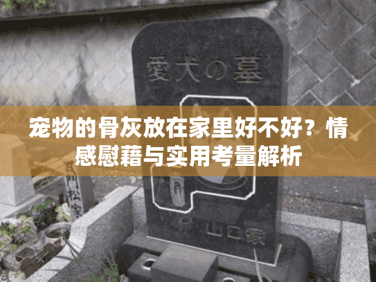 宠物的骨灰放在家里好不好？情感慰藉与实用考量解析