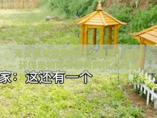 无公害处理宠物什么意思？揭秘环保宠物殡葬服务的核心内涵