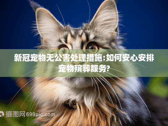 新冠宠物无公害处理措施:如何安心安排宠物殡葬服务?