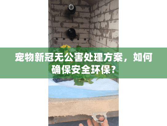 宠物新冠无公害处理方案，如何确保安全环保？