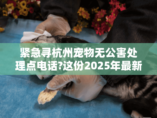 紧急寻杭州宠物无公害处理点电话?这份2025年最新指南请收好