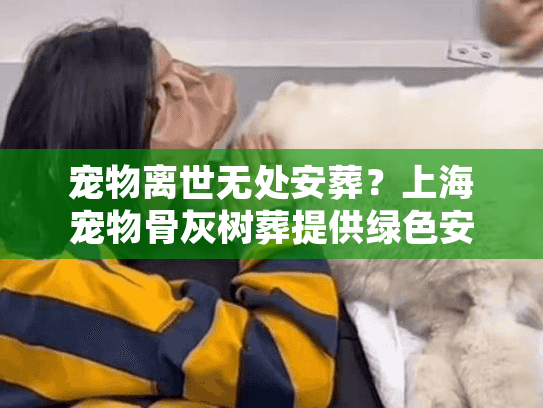 宠物离世无处安葬？上海宠物骨灰树葬提供绿色安葬方案