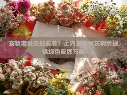 宠物离世无处安葬？上海宠物骨灰树葬提供绿色安葬方案