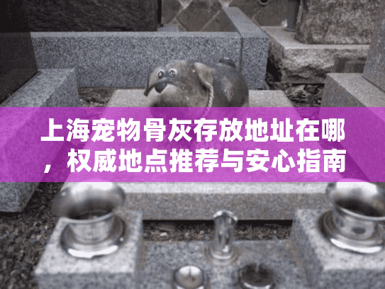 上海宠物骨灰存放地址在哪，权威地点推荐与安心指南