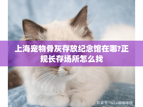 上海宠物骨灰存放纪念馆在哪?正规长存场所怎么找