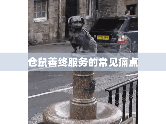 仓鼠善终服务的常见痛点