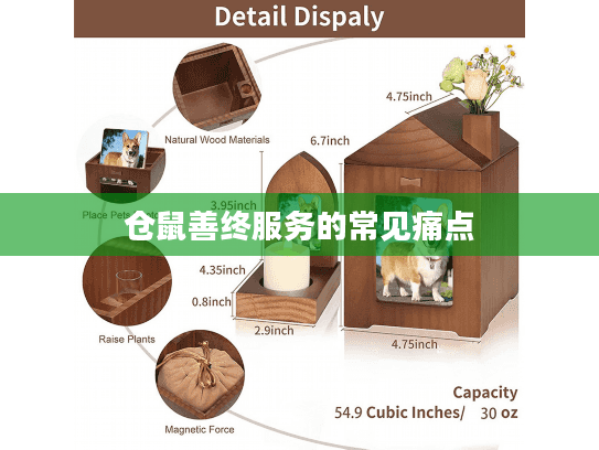 仓鼠善终服务的常见痛点