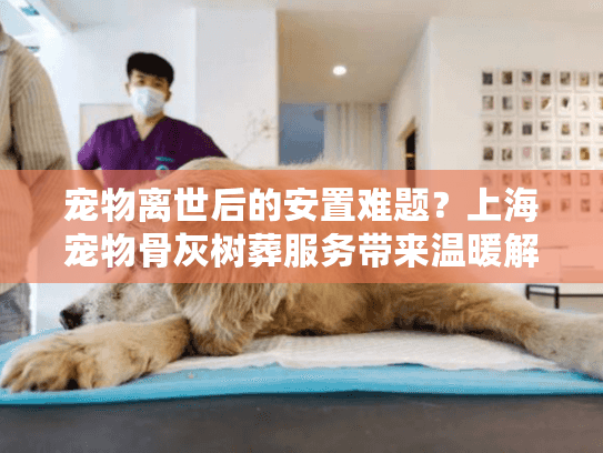 宠物离世后的安置难题？上海宠物骨灰树葬服务带来温暖解决方案