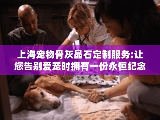 上海宠物骨灰晶石定制服务:让您告别爱宠时拥有一份永恒纪念