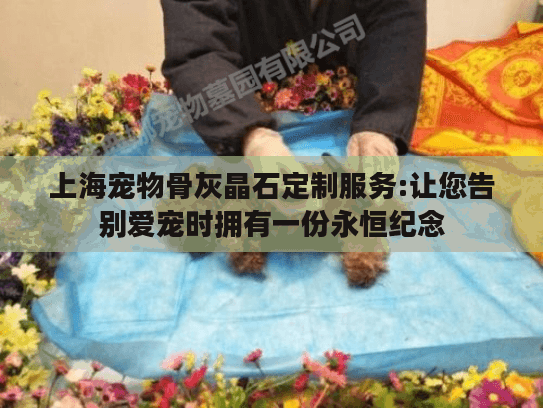 上海宠物骨灰晶石定制服务:让您告别爱宠时拥有一份永恒纪念