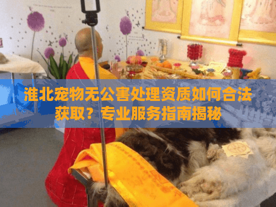 淮北宠物无公害处理资质如何合法获取？专业服务指南揭秘
