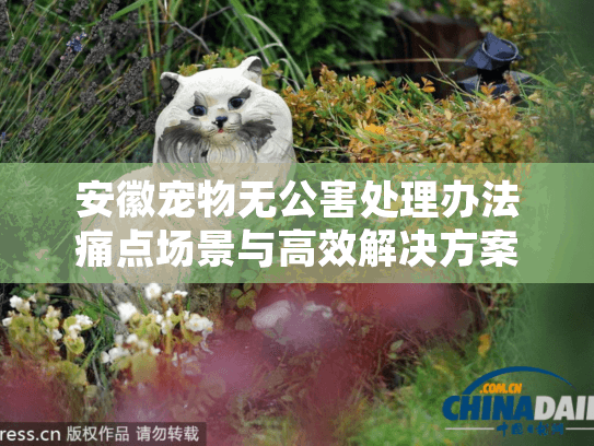 安徽宠物无公害处理办法痛点场景与高效解决方案？