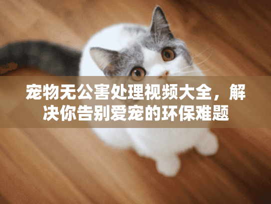 宠物无公害处理视频大全，解决你告别爱宠的环保难题
