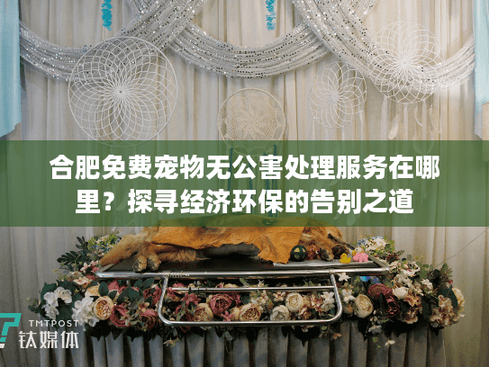 合肥免费宠物无公害处理服务在哪里？探寻经济环保的告别之道