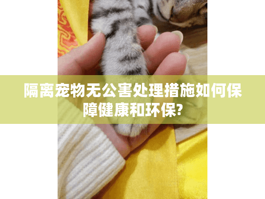 隔离宠物无公害处理措施如何保障健康和环保?