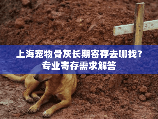 上海宠物骨灰长期寄存去哪找？专业寄存需求解答