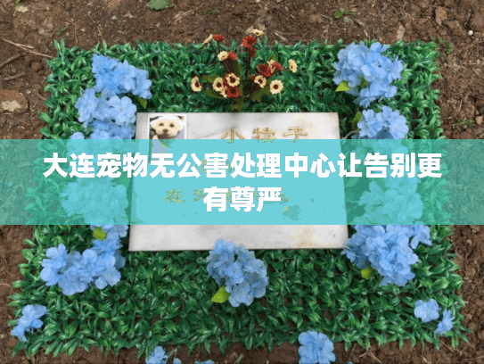 大连宠物无公害处理中心让告别更有尊严