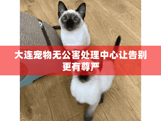 大连宠物无公害处理中心让告别更有尊严