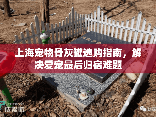 上海宠物骨灰罐选购指南，解决爱宠最后归宿难题