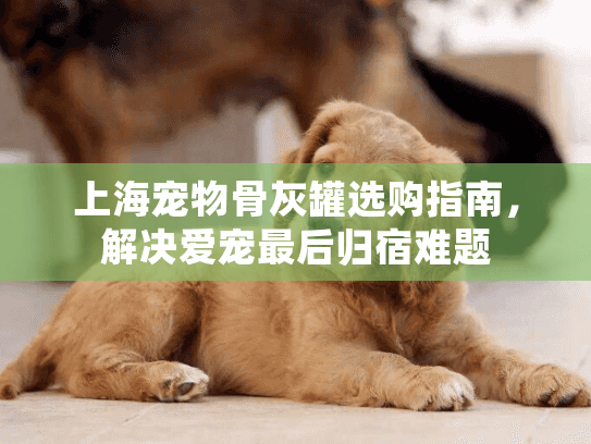 上海宠物骨灰罐选购指南，解决爱宠最后归宿难题