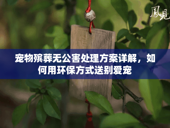 宠物殡葬无公害处理方案详解，如何用环保方式送别爱宠