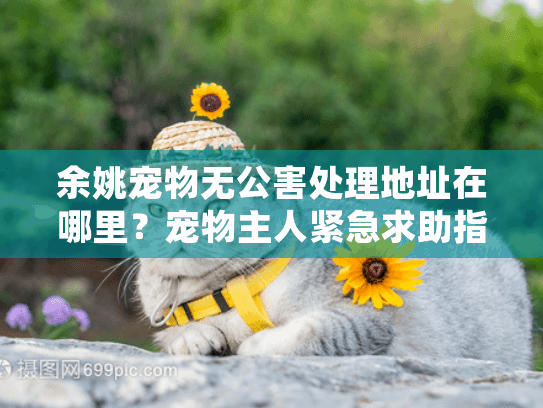 余姚宠物无公害处理地址在哪里？宠物主人紧急求助指南