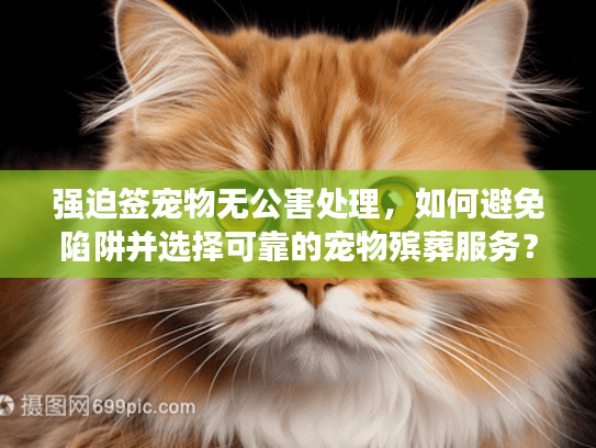 强迫签宠物无公害处理，如何避免陷阱并选择可靠的宠物殡葬服务？