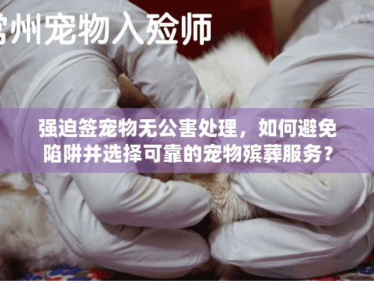 强迫签宠物无公害处理，如何避免陷阱并选择可靠的宠物殡葬服务？