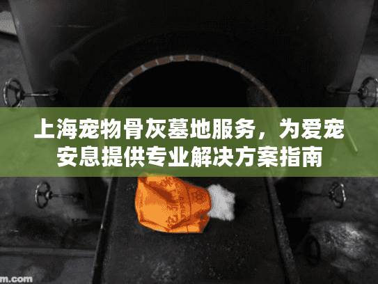 上海宠物骨灰墓地服务，为爱宠安息提供专业解决方案指南