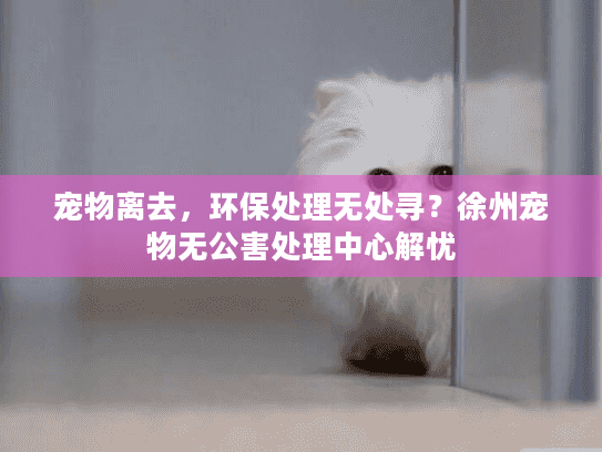 宠物离去，环保处理无处寻？徐州宠物无公害处理中心解忧