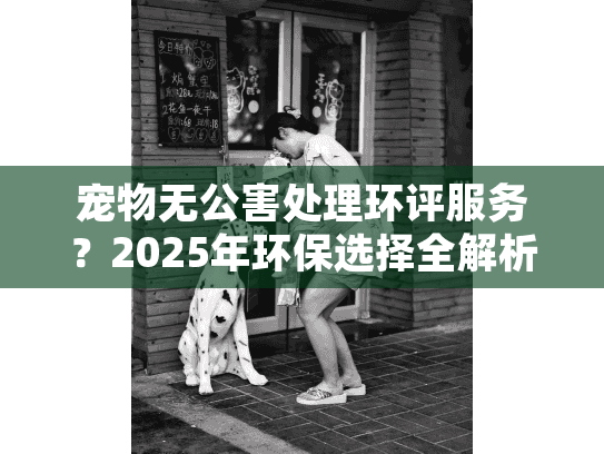 宠物无公害处理环评服务？2025年环保选择全解析