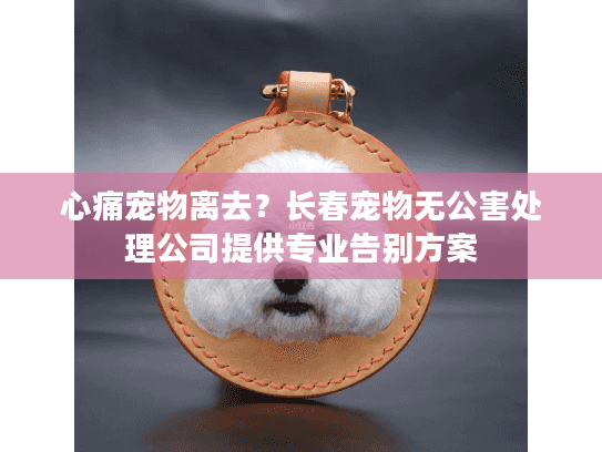 心痛宠物离去？长春宠物无公害处理公司提供专业告别方案