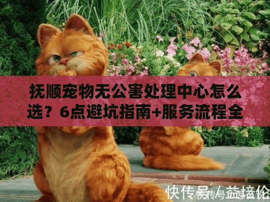 抚顺宠物无公害处理中心怎么选？6点避坑指南+服务流程全解析