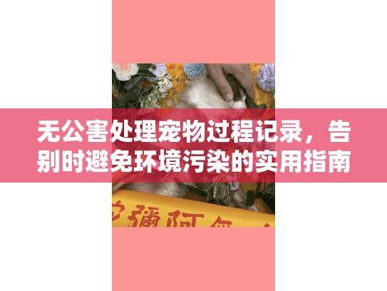 无公害处理宠物过程记录，告别时避免环境污染的实用指南
