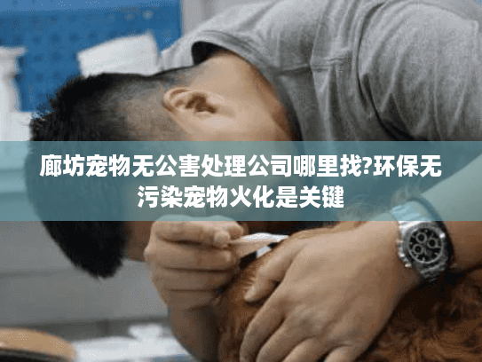 廊坊宠物无公害处理公司哪里找?环保无污染宠物火化是关键