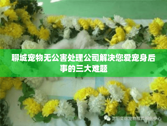 聊城宠物无公害处理公司解决您爱宠身后事的三大难题