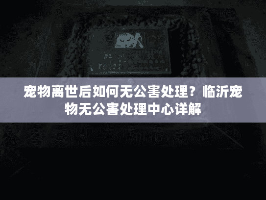 宠物离世后如何无公害处理？临沂宠物无公害处理中心详解