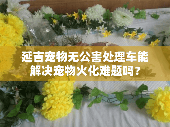 延吉宠物无公害处理车能解决宠物火化难题吗？