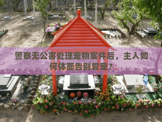 警察无公害处理宠物案件后，主人如何体面告别爱宠？