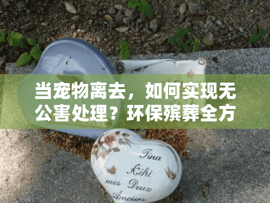 当宠物离去，如何实现无公害处理？环保殡葬全方案解析