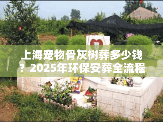 上海宠物骨灰树葬多少钱？2025年环保安葬全流程详解