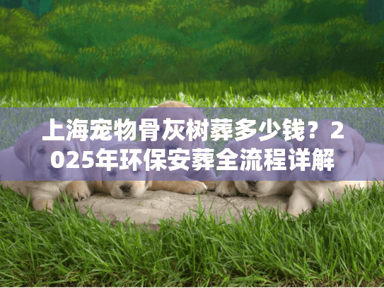 上海宠物骨灰树葬多少钱？2025年环保安葬全流程详解