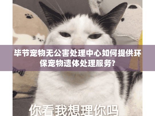 毕节宠物无公害处理中心如何提供环保宠物遗体处理服务?