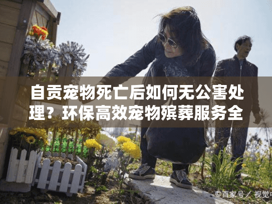 自贡宠物死亡后如何无公害处理？环保高效宠物殡葬服务全指南
