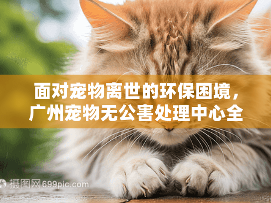 面对宠物离世的环保困境，广州宠物无公害处理中心全面指南