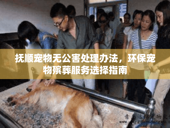 抚顺宠物无公害处理办法，环保宠物殡葬服务选择指南