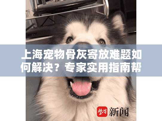 上海宠物骨灰寄放难题如何解决？专家实用指南帮你化解困惑