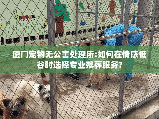 厦门宠物无公害处理所:如何在情感低谷时选择专业殡葬服务?