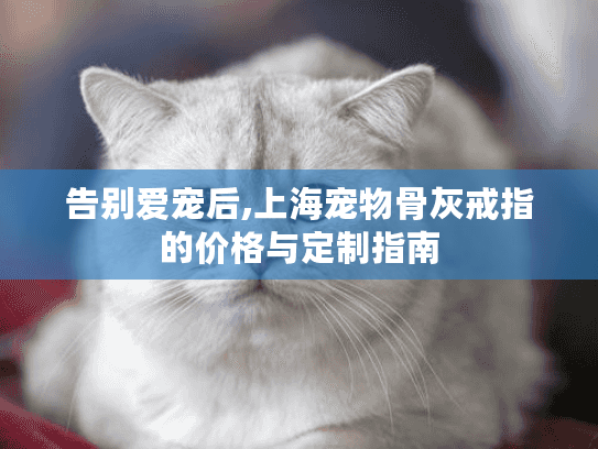 告别爱宠后,上海宠物骨灰戒指的价格与定制指南